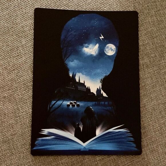 Harry Potter Magnet  - Picture 6 of 6